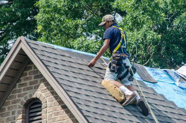 Best Shingle Roofing Installation  in Farmersville, OH